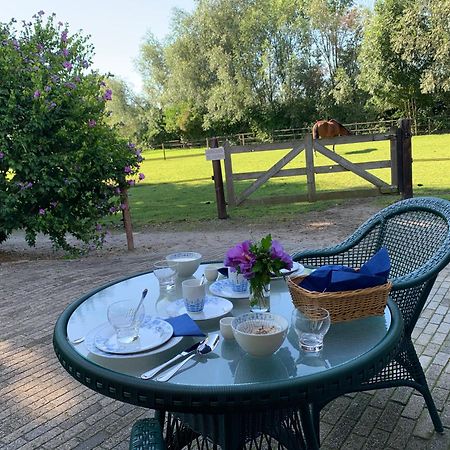 Luxury Guest House - Eik Aan De Dijk Aalst Eksteriør bilde