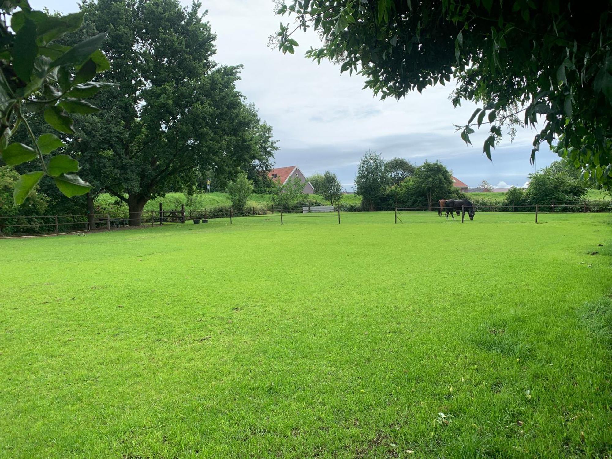 Luxury Guest House - Eik Aan De Dijk Aalst Eksteriør bilde