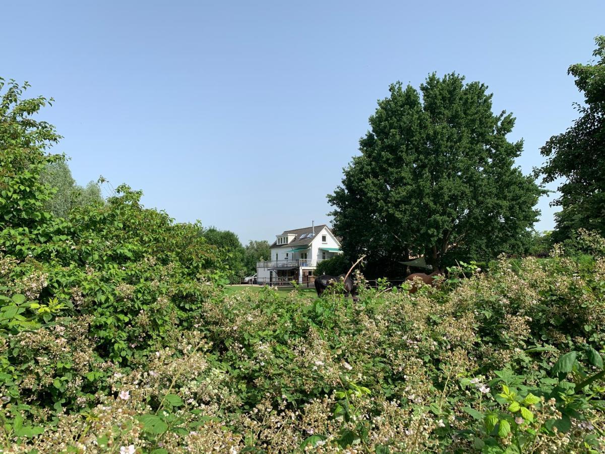 Luxury Guest House - Eik Aan De Dijk Aalst Eksteriør bilde